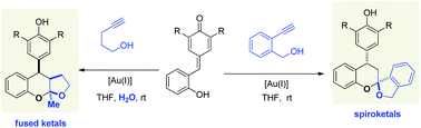 Graphical abstract: Gold-catalyzed domino reactions of alkynol and p-quinone methides: divergent synthesis of fused- and spiro-ketals