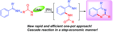 Graphical abstract: RhIII-Catalyzed one-pot cascade synthesis of quinazolines with N-alkoxyamide as an amidating reagent