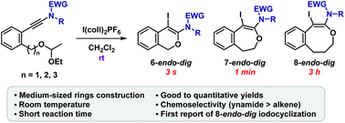 Graphical abstract: Ynamides enabled 6-, 7-, and 8-endo-dig iodocyclization of ethoxyethyl ethers: rapid construction of medium-sized oxacycles at room temperature