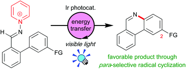 Graphical abstract: Energy transfer-driven regioselective synthesis of functionalized phenanthridines by visible-light Ir photocatalysis