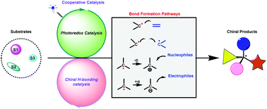 Graphical abstract: Cooperative photoredox and chiral hydrogen-bonding catalysis