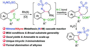 Graphical abstract: Rh-Catalyzed nitrene alkyne metathesis/formal C–N bond insertion cascade: synthesis of 3-iminoindolines