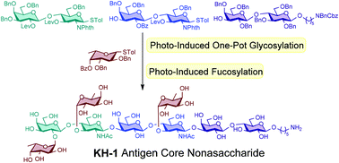Graphical abstract: Total synthesis of tumor-associated KH-1 antigen core nonasaccharide via photo-induced glycosylation