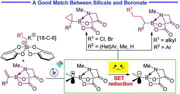 Graphical abstract: Radical addition-polar termination cascade: efficient strategy for photoredox-neutral-catalysed cyclopropanation and Giese-type reactions of alkenyl N-methyliminodiacetyl boronates
