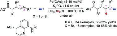 Graphical abstract: Palladium-catalyzed δ-selective reductive Heck reaction of alkenyl carbonyl compounds with aryl iodides and bromides