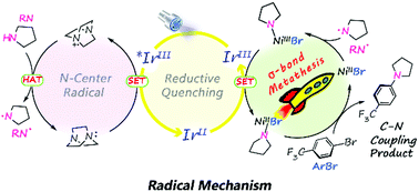 Graphical abstract: Theoretical mechanistic study of metallaphotoredox catalysis: C–N cross-coupling via Ni(ii)-mediated σ-bond metathesis