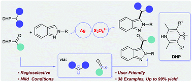 Graphical abstract: Direct radical alkylation and acylation of 2H-indazoles using substituted Hantzsch esters as radical reservoirs