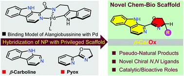 Graphical abstract: Natural carbolines inspired the discovery of chiral CarOx ligands for asymmetric synthesis and antifungal leads