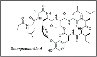 Graphical abstract: Total synthesis of antiallergic bicyclic peptide seongsanamide A