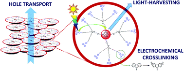 Graphical abstract: Semiconducting and electropolymerizable liquid crystalline carbazole-containing porphyrin-core dendrimers