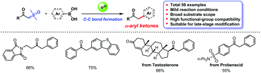 Graphical abstract: Iridium-catalyzed arylation of sulfoxonium ylides and arylboronic acids: a straightforward preparation of α-aryl ketones