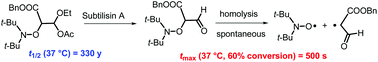 Graphical abstract: An enzymatic acetal/hemiacetal conversion for the physiological temperature activation of the alkoxyamine C–ON bond homolysis