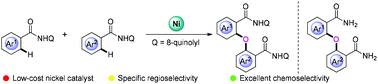 Graphical abstract: Nickel-catalyzed dual C(sp2)–H activation of arenes: a new route to diaryl ethers