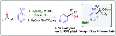 Graphical abstract: Metal-free reductive coupling of aliphatic aldehydes/ketones with 4-cyanopyridines: expanded scope and mechanistic studies