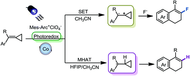 Graphical abstract: Visible light mediated synthesis of 4-aryl-1,2-dihydronaphthalene derivatives via single-electron oxidation or MHAT from methylenecyclopropanes