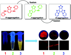 Graphical abstract: Tuning the optical properties of N-aryl benzothiadiazole via Cu(ii)-catalyzed intramolecular C–H amination: the impact of the molecular structure on aggregation and solid state luminescence