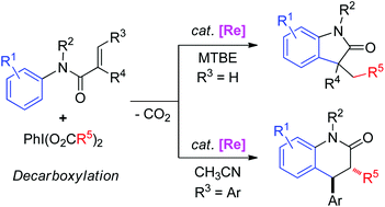 Graphical abstract: Rhenium-catalyzed alkylarylation of alkenes with PhI(O2CR)2via decarboxylation to access indolinones and dihydroquinolinones
