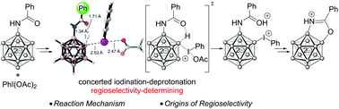 Graphical abstract: Directed B–H functionalization of the closo-dodecaborate cluster via concerted iodination–deprotonation: reaction mechanism and origins of regioselectivity