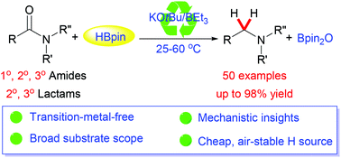 Graphical abstract: Transition-metal-free catalytic hydroboration reduction of amides to amines