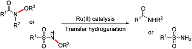 Graphical abstract: Ruthenium(ii)-catalyzed reductive N–O bond cleavage of N-OR (R = H, alkyl, or acyl) substituted amides and sulfonamides