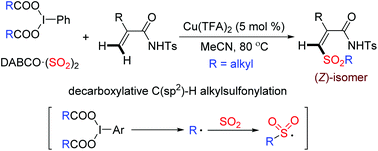 Graphical abstract: Generation of (Z)-β-alkenyl alkylsulfones via a copper-catalyzed decarboxylative alkylsulfonylation