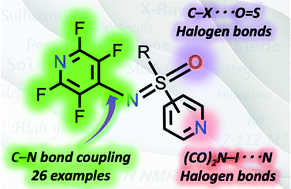 Graphical abstract: N-(2,3,5,6-Tetrafluoropyridyl)sulfoximines: synthesis, X-ray crystallography, and halogen bonding