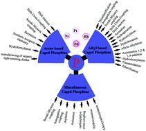 Graphical abstract: A comprehensive review of caged phosphines: synthesis, catalytic applications, and future perspectives