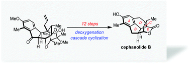 Graphical abstract: Asymmetric total synthesis of cephanolide B