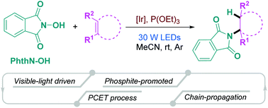 Graphical abstract: Photocatalytic intermolecular anti-Markovnikov hydroamination of unactivated alkenes with N-hydroxyphthalimide