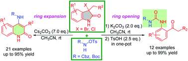 Graphical abstract: Ring expansion and ring opening of 3-halooxindoles with N-alkoxycarbonyl-O-tosylhydroxylamines for divergent access to 4-aminoquinolin-2-ones and N-Cbz-N’-arylureas