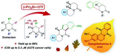 Graphical abstract: Arylation of enelactams using TIPSOTf: reaction scope and mechanistic insight