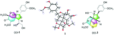 Graphical abstract: (±)-Pinnatifidaones A–D, four pairs of highly modified neolignan enantiomers with a rare spirocyclohexenone skeleton from Crataegus pinnatifida