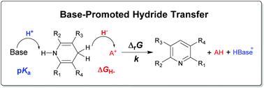 Graphical abstract: Thermodynamic and kinetic studies of hydride transfer from Hantzsch ester under the promotion of organic bases