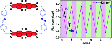 Graphical abstract: Reversible fluorescence modulation through the photoisomerization of an azobenzene-bridged perylene bisimide cyclophane