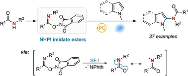 Graphical abstract: N-Hydroxyphthalimide imidate esters as amidyl radical precursors in the visible light photocatalyzed C–H amidation of heteroarenes