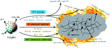 Graphical abstract: A green self-assembled organic supermolecule as an effective flame retardant for epoxy resin