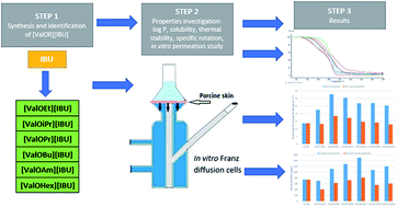 Graphical abstract: Enhancement of ibuprofen solubility and skin permeation by conjugation with l-valine alkyl esters