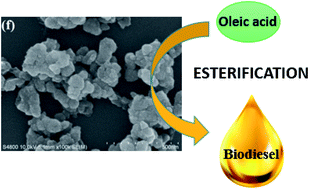 Graphical abstract: Efficient biodiesel production from oleic acid using metal–organic framework encapsulated Zr-doped polyoxometalate nano-hybrids
