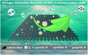 Graphical abstract: Defective S/N co-doped carbon cloth via a one-step process for effective electroreduction of nitrogen to ammonia