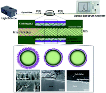 Graphical abstract: The impact of ZnO configuration as an external layer on the sensitivity of a bi-layer coated polymer optical fiber probe