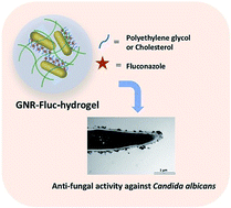 Graphical abstract: Fluconazole conjugated-gold nanorods as an antifungal nanomedicine with low cytotoxicity against human dermal fibroblasts
