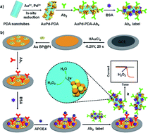 Graphical abstract: Electrochemical immunosensor based on AuBP@Pt nanostructure and AuPd-PDA nanozyme for ultrasensitive detection of APOE4