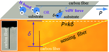 Graphical abstract: Hydrogen bonding sewing interface