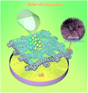 Graphical abstract: Controllable synthesis of in situ grown titanate hierarchical microspheres and subsequent chemical modifications for superhydrophobic and oil–water separation properties