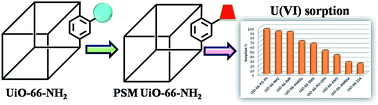 Graphical abstract: Assorted functionality-appended UiO-66-NH2 for highly efficient uranium(vi) sorption at acidic/neutral/basic pH