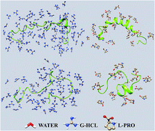 Graphical abstract: Ameliorating amyloid aggregation through osmolytes as a probable therapeutic molecule against Alzheimer's disease and type 2 diabetes