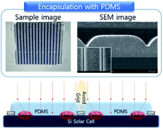 Graphical abstract: Omni-direction PERC solar cells harnessing periodic locally focused light incident through patterned PDMS encapsulation