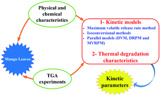 Graphical abstract: Thermal pyrolysis and kinetic parameter determination of mango leaves using common and new proposed parallel kinetic models