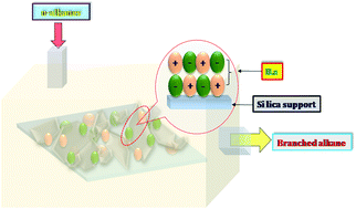 Graphical abstract: Silica-immobilized ionic liquid Brønsted acids as highly effective heterogeneous catalysts for the isomerization of n-heptane and n-octane