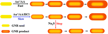 Graphical abstract: Precisely tuning the longitudinal localized surface plasmon resonance of gold nanorods via additive-regulated overgrowth